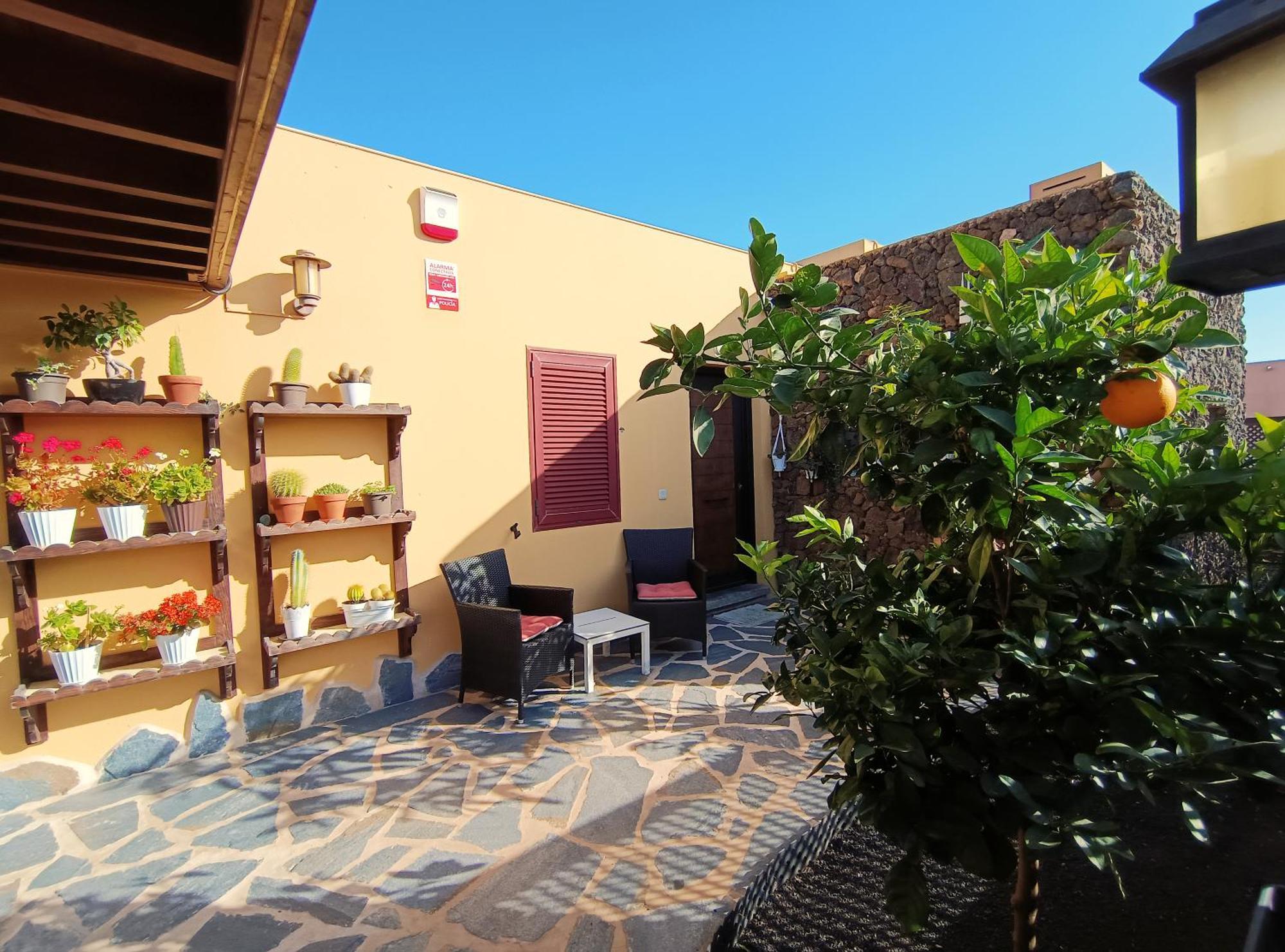 Villa Enola La Oliva Exterior foto
